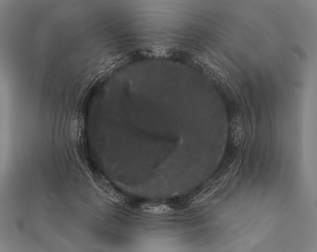 X0000112000747200908311114