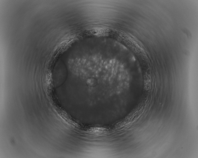 X0000112000748200908311114