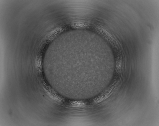 X0000112000749200908311114