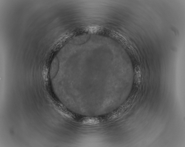 X0000112000750200908311114