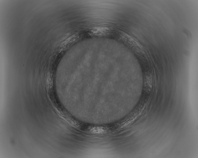 X0000112000751200908311114