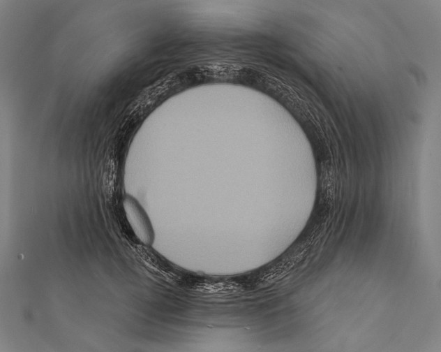 X0000112000752200908311114