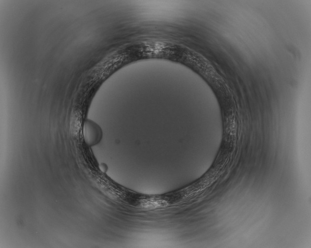 X0000112000754200908311114