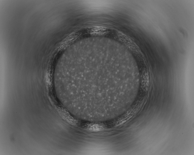 X0000112000755200908311114