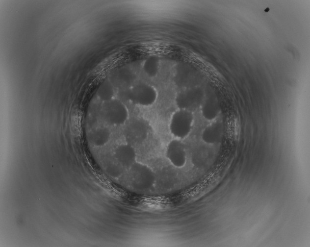 X0000112000757200908311114