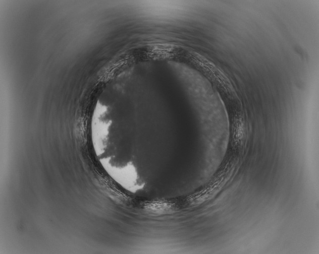 X0000112000759200908311114