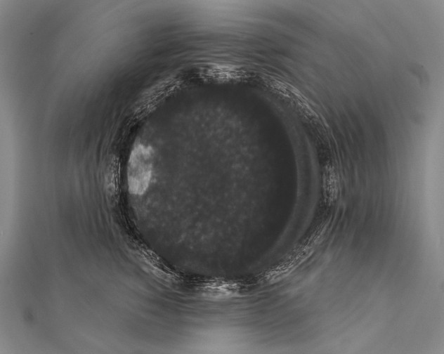 X0000112000760200908311114