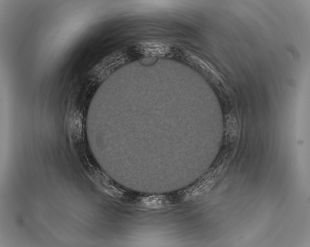 X0000112000761200908311114