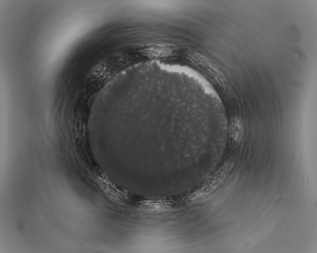 X0000112000763200908311114