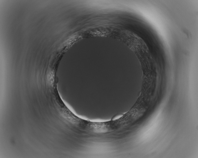 X0000112000767200908311114