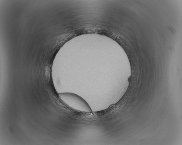 X0000112000768200908311114