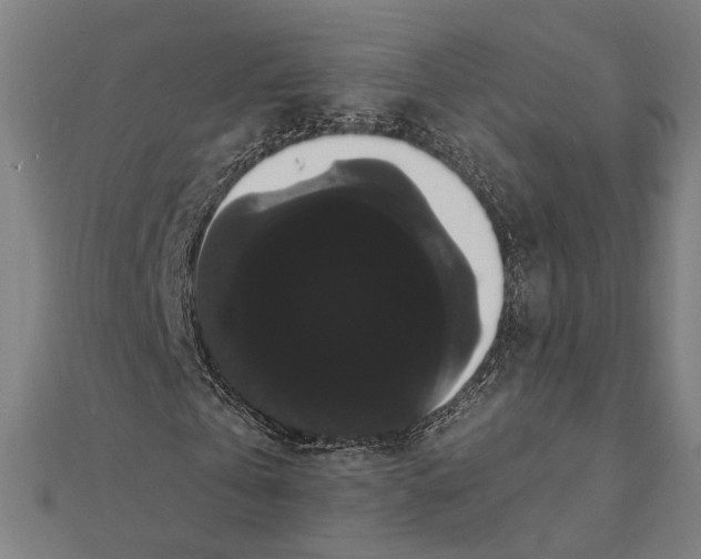 X0000112000769200908311113