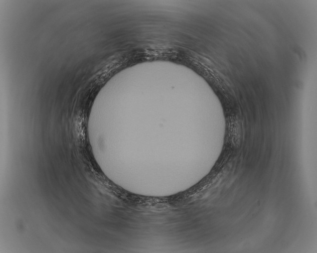 X0000112000770200908311113