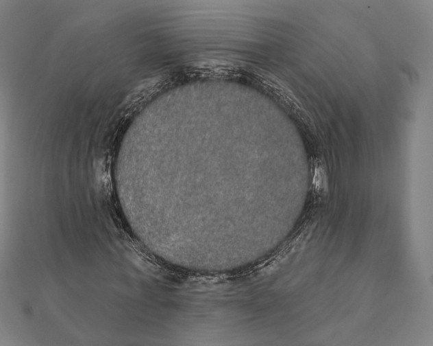 X0000112000771200908311113