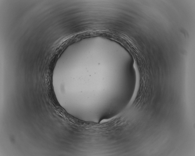 X0000112000773200908311113