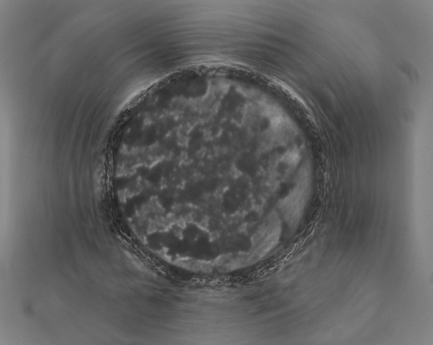 X0000112000775200908311113