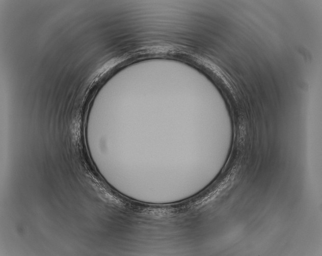 X0000112000778200908311113