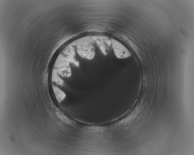 X0000112000779200908311113