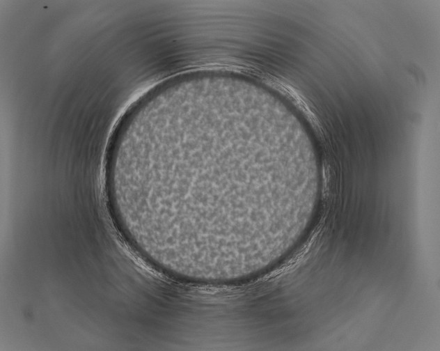 X0000112000780200908311113