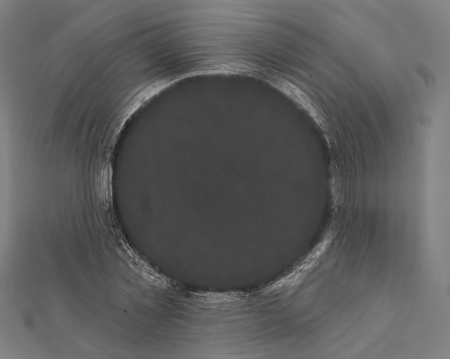 X0000112000781200908311113