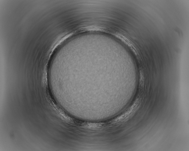 X0000112000782200908311113