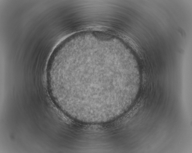 X0000112000784200908311113