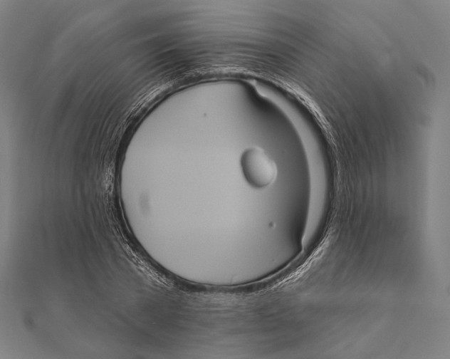 X0000112000785200908311113