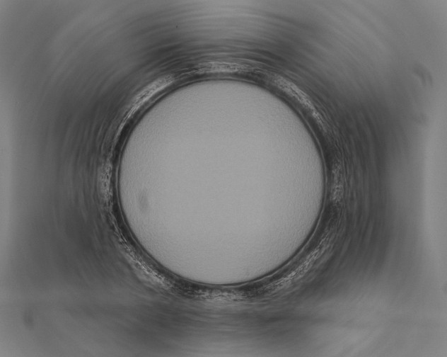 X0000112000786200908311113