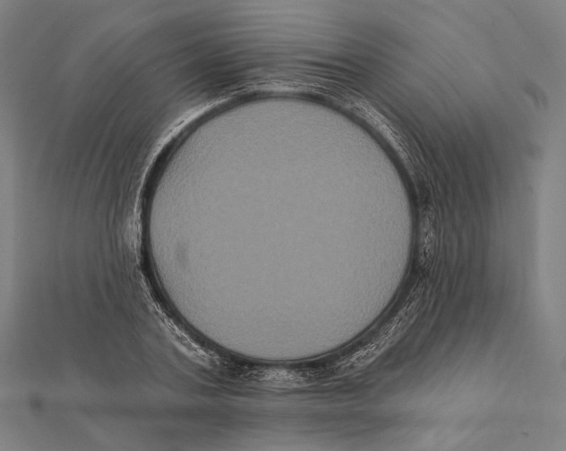 X0000112000787200908311113