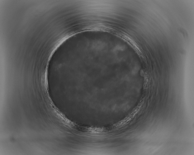 X0000112000788200908311113