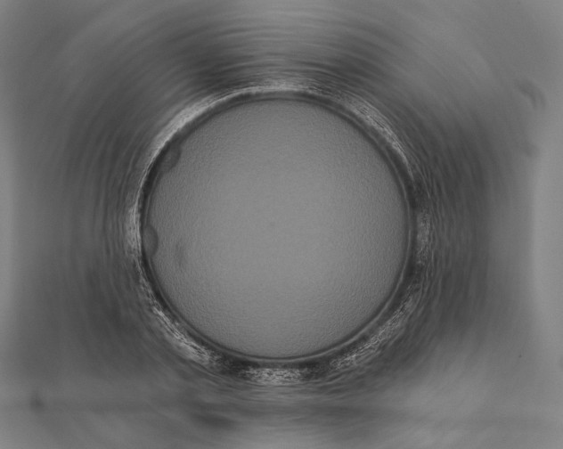 X0000112000789200908311113