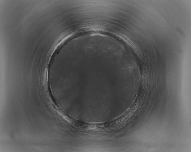 X0000112000790200908311113