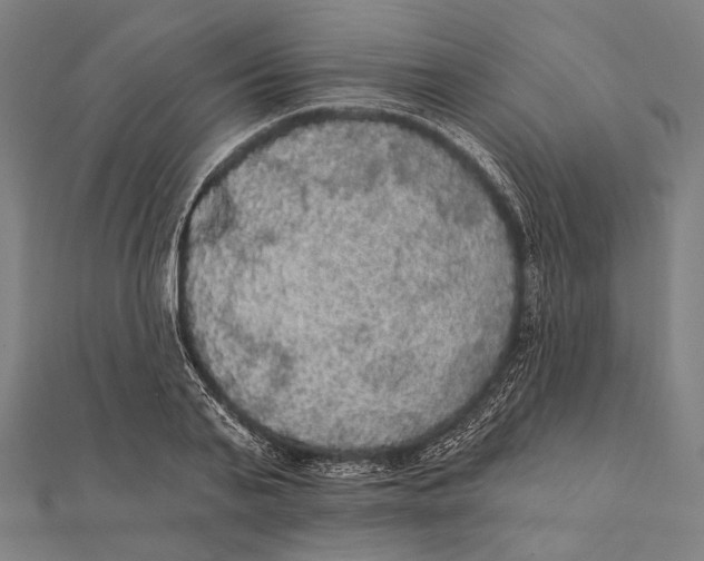 X0000112000791200908311113