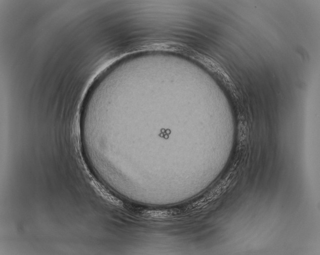 X0000112000792200908311113