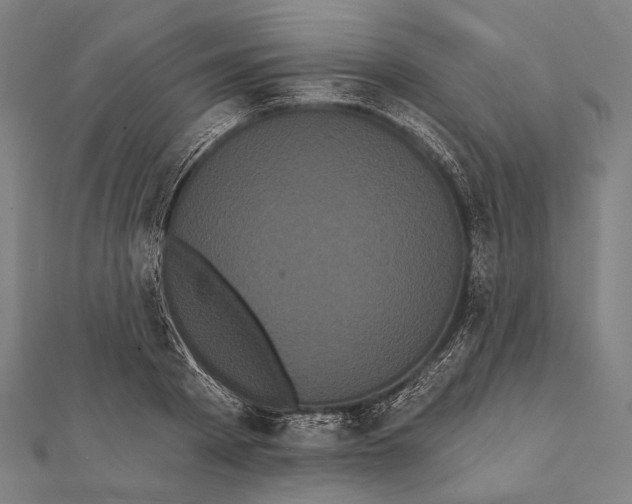 X0000112000793200908311113