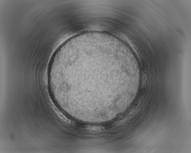 X0000112000795200908311113