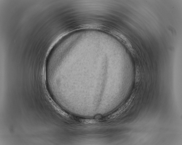 X0000112000796200908311113