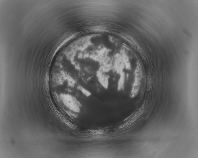 X0000112000798200908311113