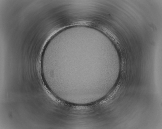 X0000112000800200908311113