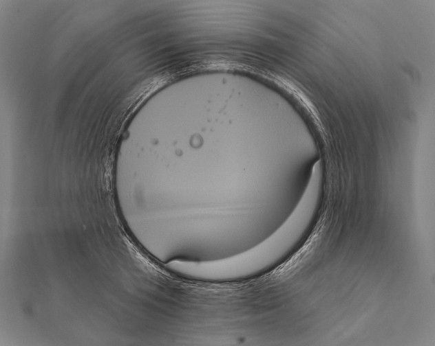 X0000112000801200908311113