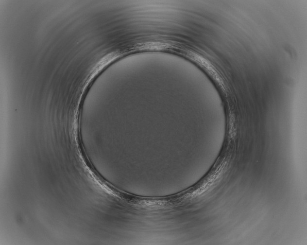 X0000112000802200908311113