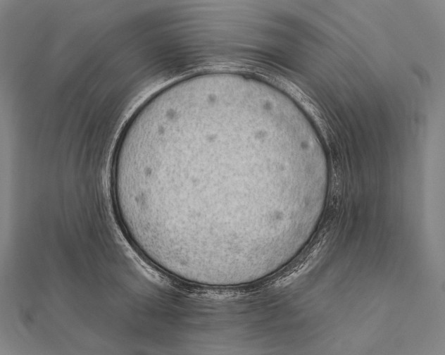 X0000112000803200908311113