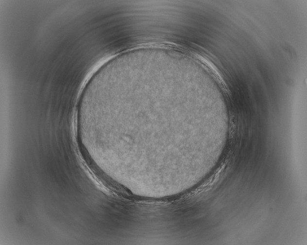 X0000112000804200908311113