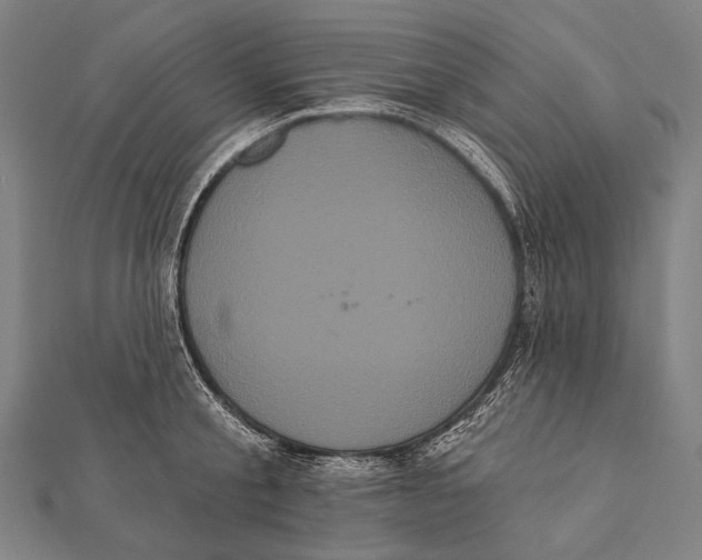 X0000112000805200908311113