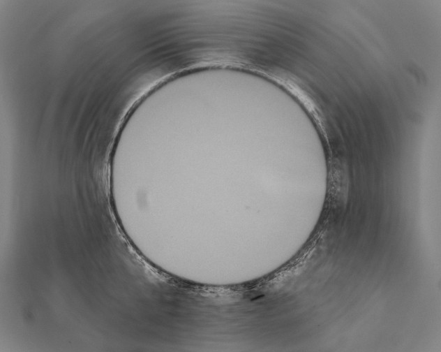 X0000112000807200908311113