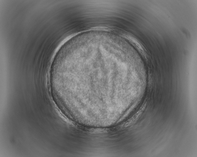 X0000112000808200908311113