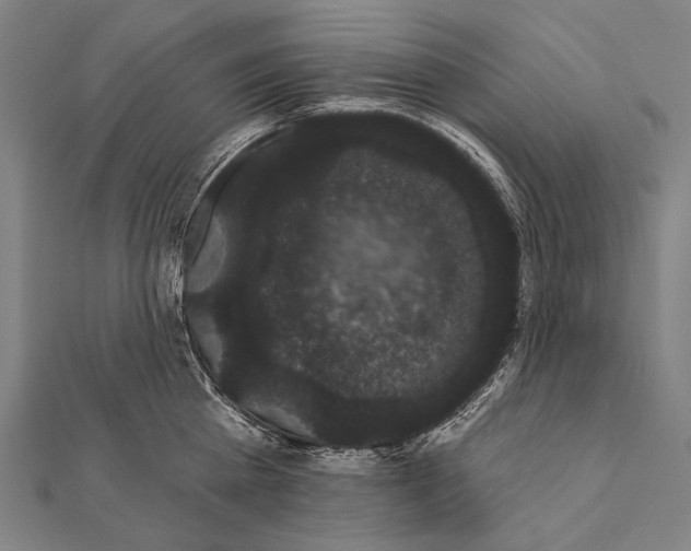 X0000112000809200908311113