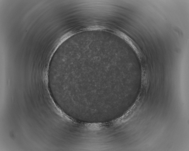 X0000112000810200908311113