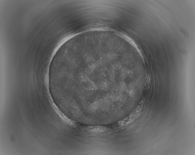 X0000112000811200908311113