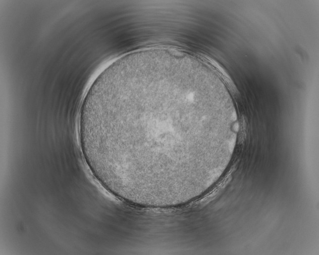 X0000112000812200908311113